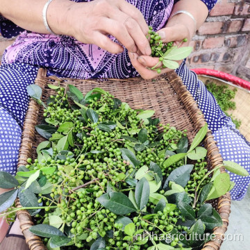 Groene peperkorrels gedroogde peperkorrels rood eten kruiden